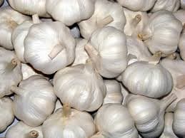 Garlic quality